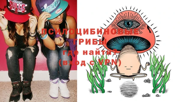 соль курить ск Няндома