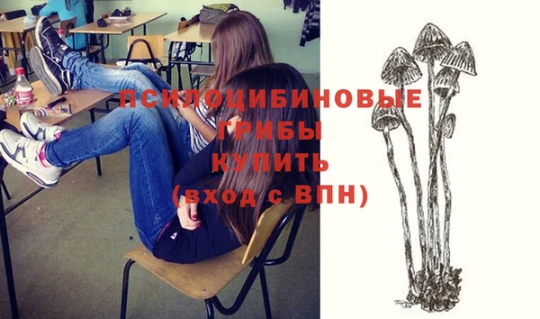 соль курить ск Няндома
